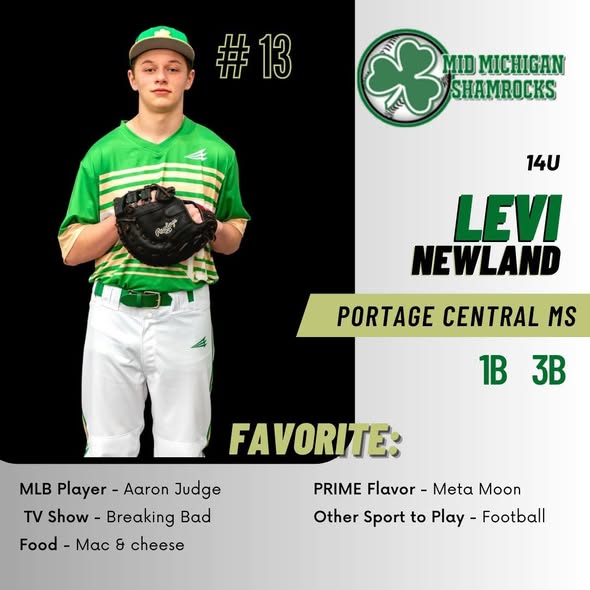 Levi Newland Portage MI Accident, Obituary, Portage Public Schools student has died